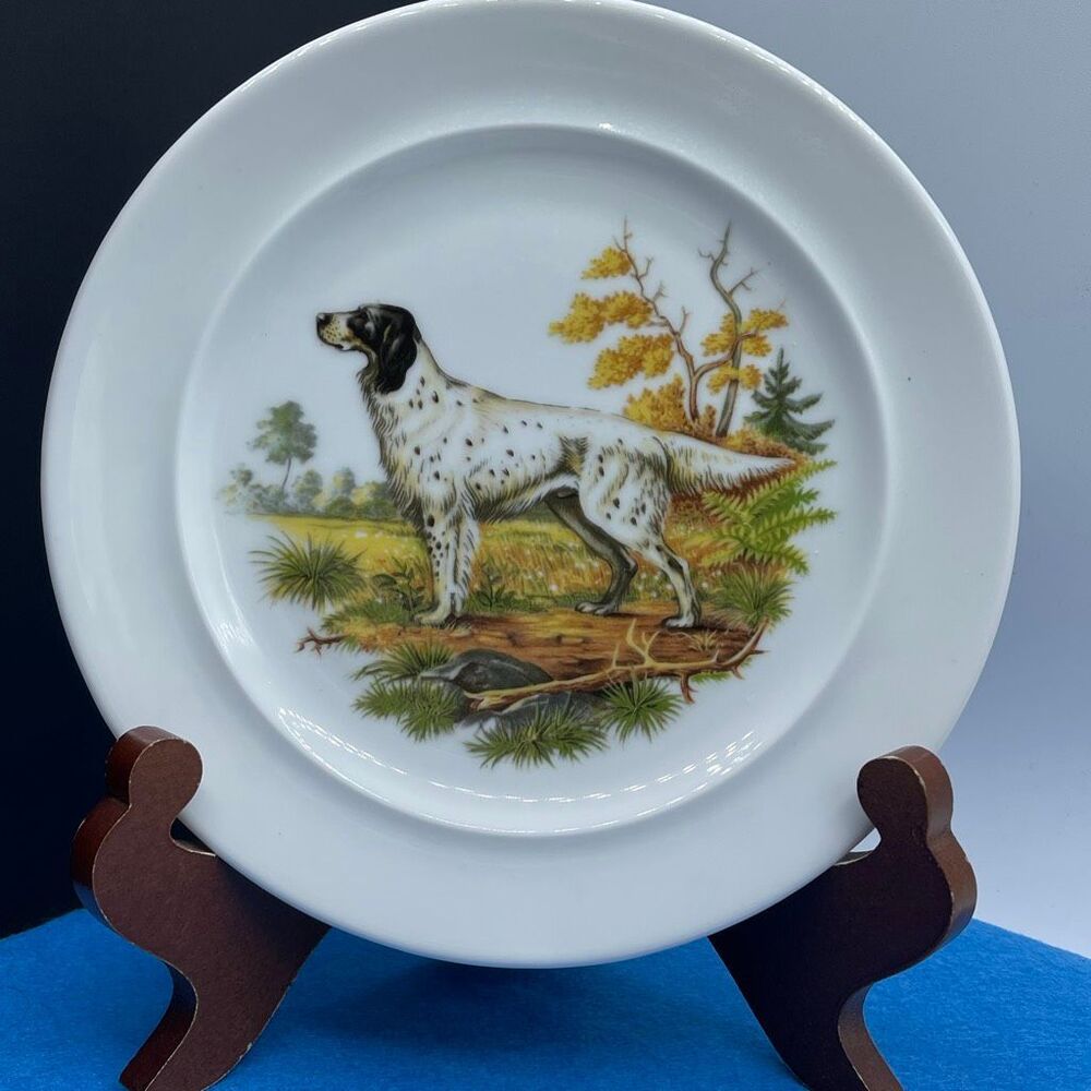 Vintage Schumann Arzberg porcelain plate English Setter Bavarian.